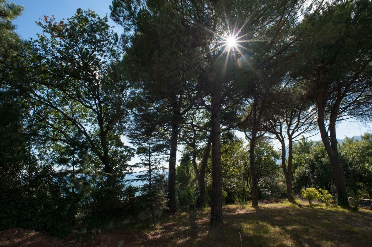 Verde Smeraldo Σαλέρνο Εξωτερικό φωτογραφία